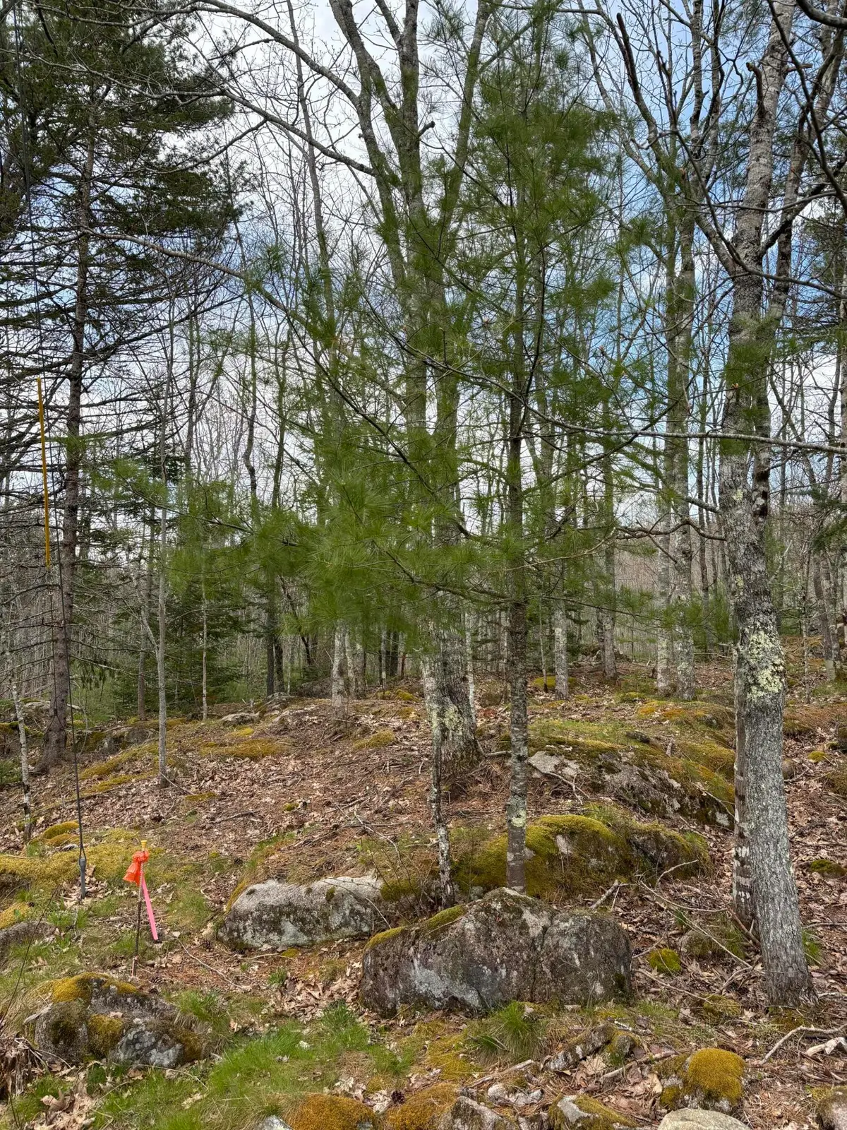 Lot 9 Aspen Drive, South Thomaston, ME 04858 - Image #1