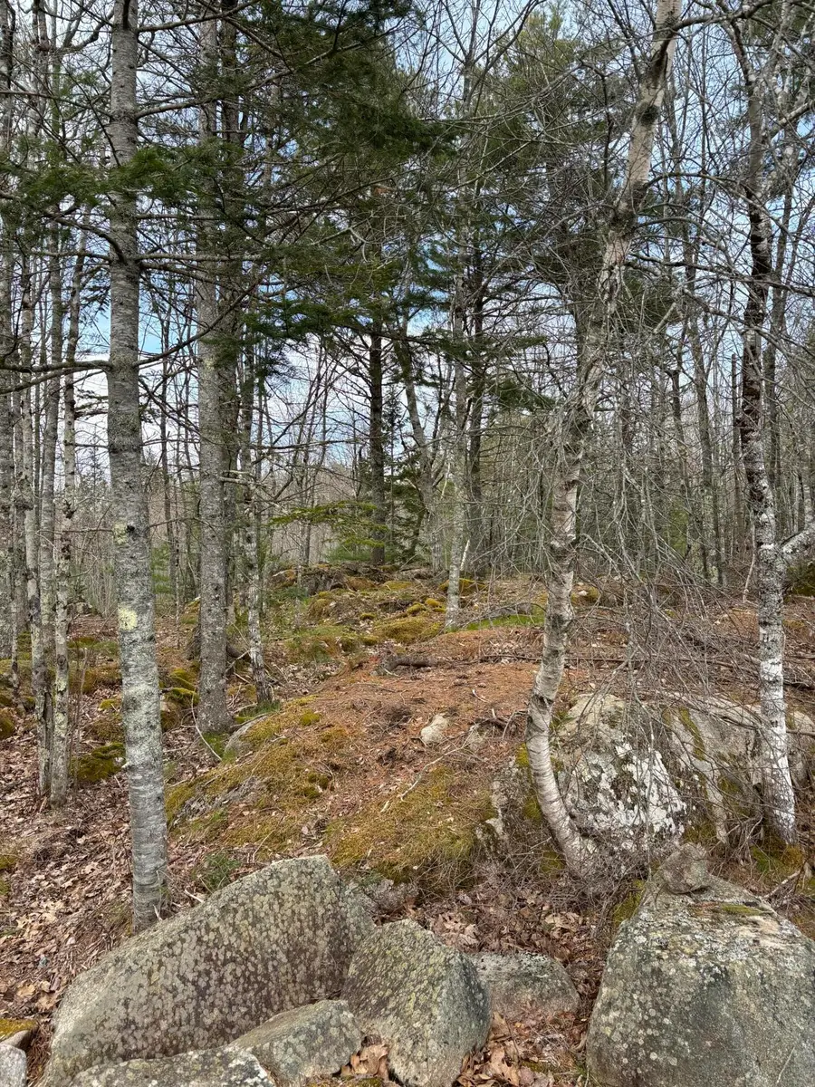 Lot 9 Aspen Drive, South Thomaston, ME 04858 - Image #2