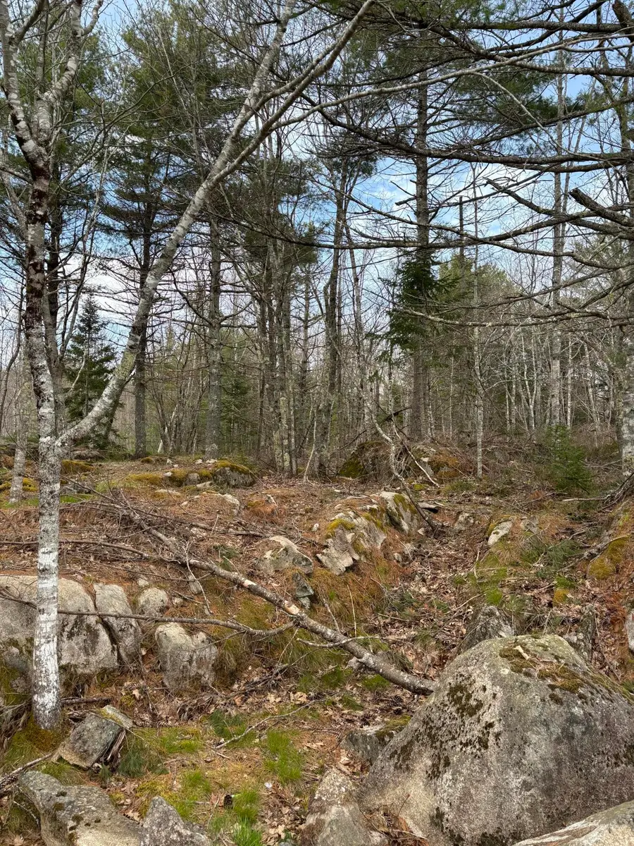 Lot 9 Aspen Drive, South Thomaston, ME 04858 - Image #3