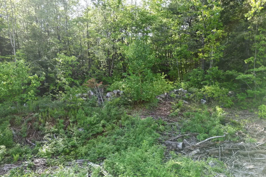Lot16 Torrey Hill Road, Turner, ME 04282 - Image #3