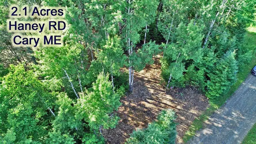 Lot 39 Smith (haney) Road, South Aroostook, ME 04471 - Image #2