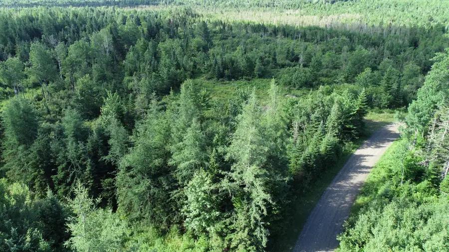 Lot 39 Smith (haney) Road, South Aroostook, ME 04471 - Image #3