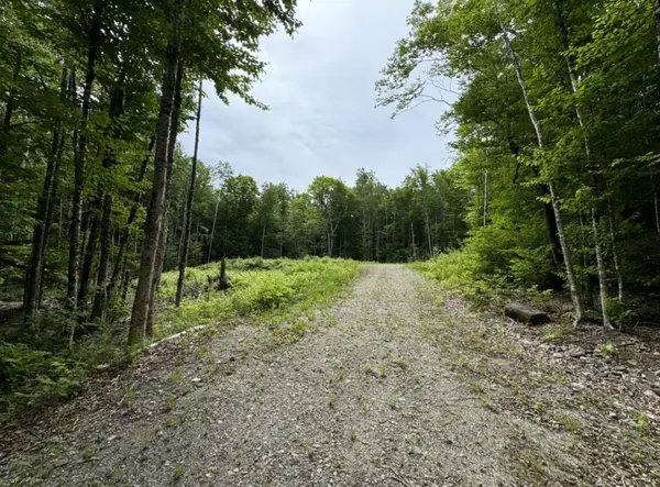 Lot WA-9 Smith Cove Road, Cathance Twp, ME 04628
