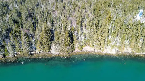 0 Map Wa032 Plan 05 Lot 31.1 Road, Trescott Twp, ME 04631