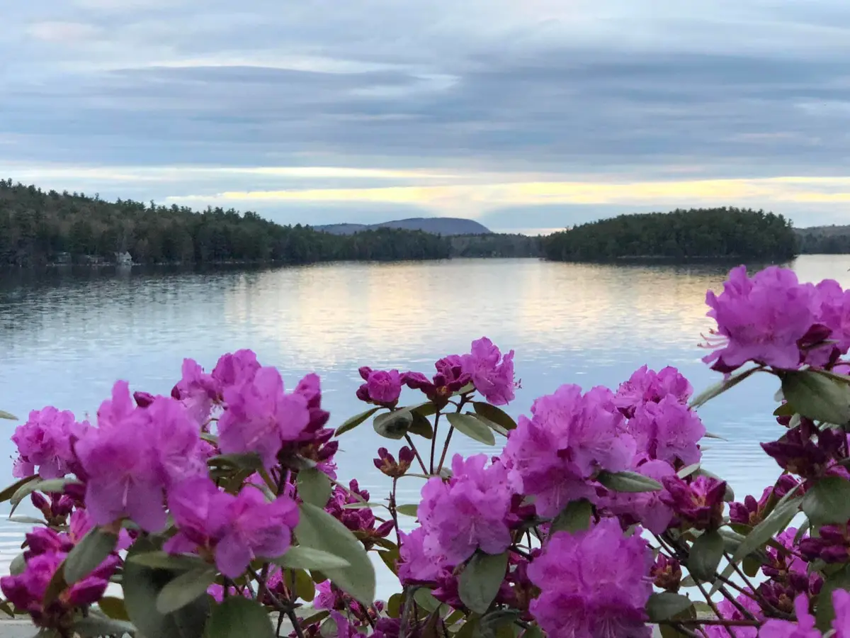 362 Stickney Hill Road, Liberty, ME 04949 - Image #1