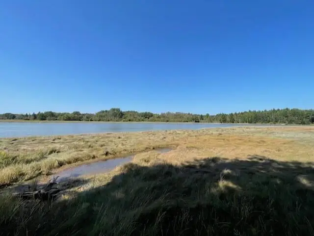 p/o Lot 78 Wescogus Road, Addison, ME 04606 - Image #2