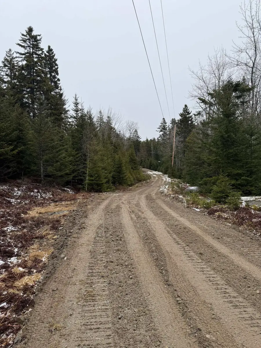 12-3 S S Burnt Cove Road, Stonington, ME 04681 - Image #3