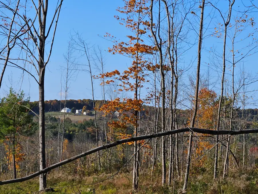 R11-033 Bailey Hill Road, Farmington, ME 04938 - Image #2