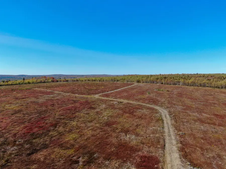 M4 L25-1 Off Smith Ridge Road, Charlotte, ME 04666 - Image #3