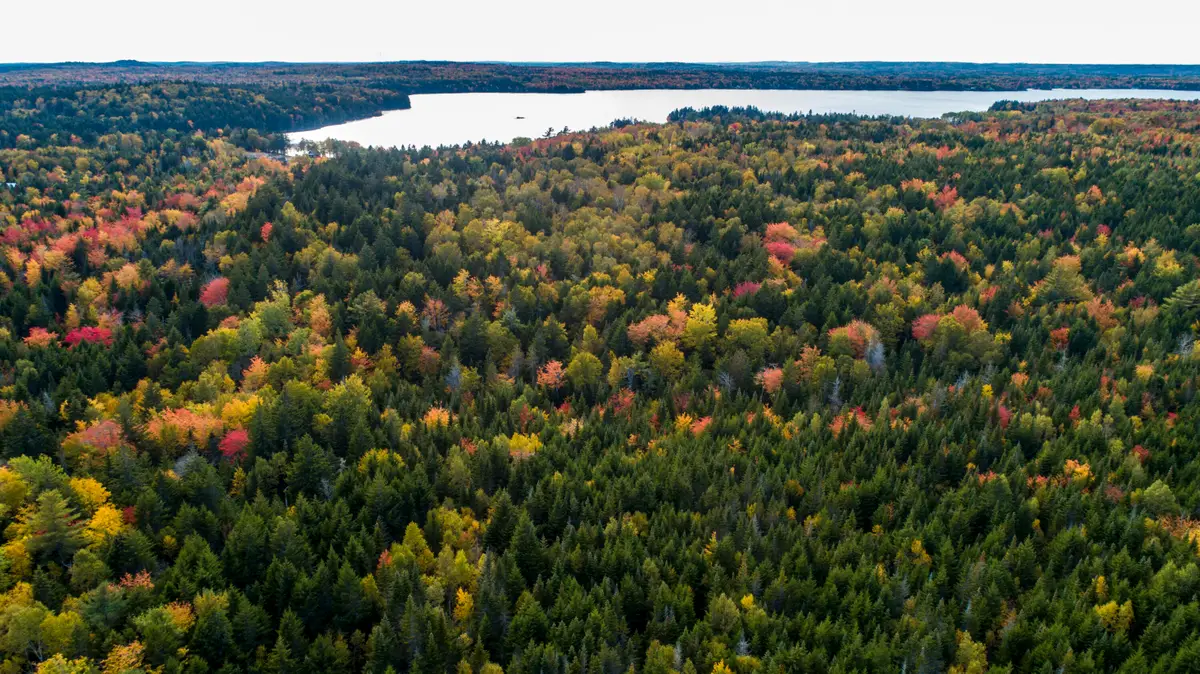 15-2 Carson Lane, Whiting, ME 04691 - Image #1