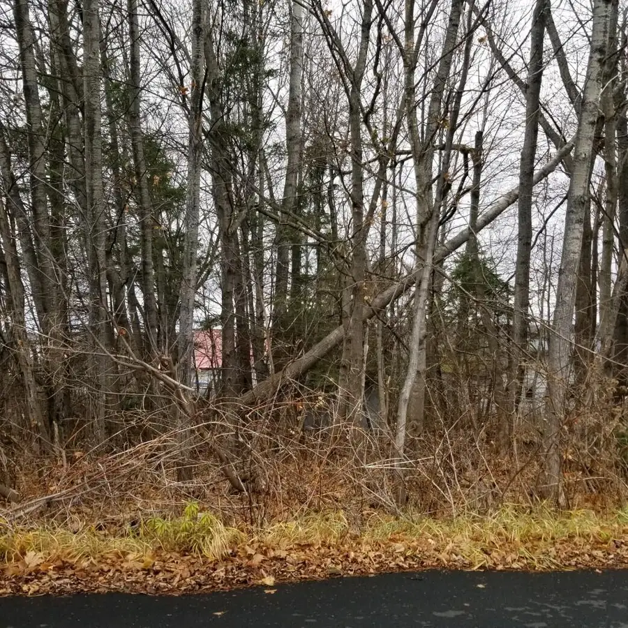 10 Webster Street, Limestone, ME 04750 - Image #3