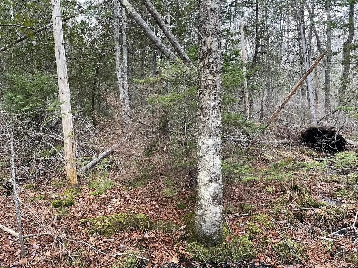 225 Priest Road, Northport, ME 04849 - Image #1