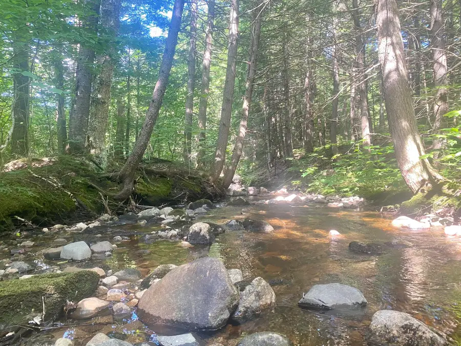 2,4,6 Willis Bean Road, Eaton, NH 03832 - Image #3