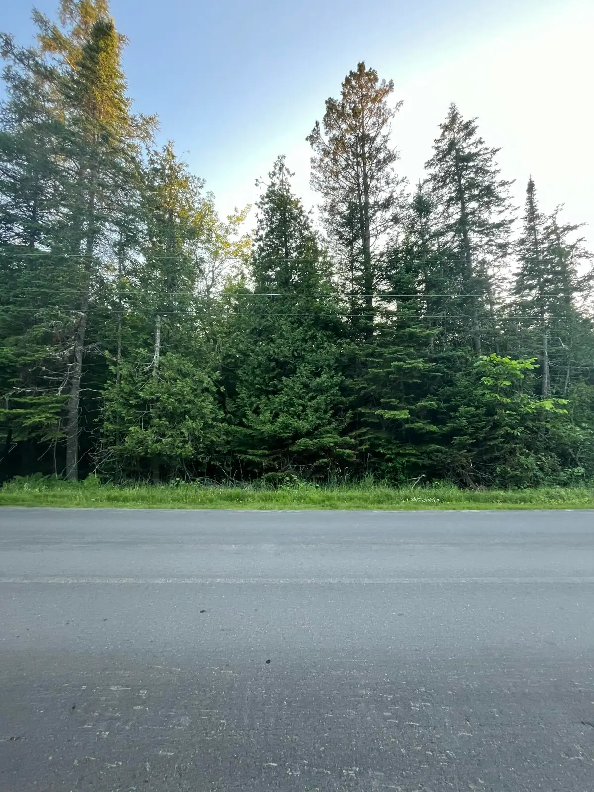 Lot 15-15 Stetson Road, Levant, ME 04456 - Image #1