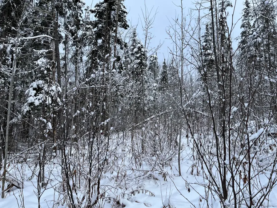 00 Frenchville Road, Ashland, ME 04732 - Image #3