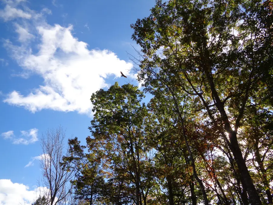 Lot 1-7 Manhattan Way, Ellsworth, ME 04605 - Image #3