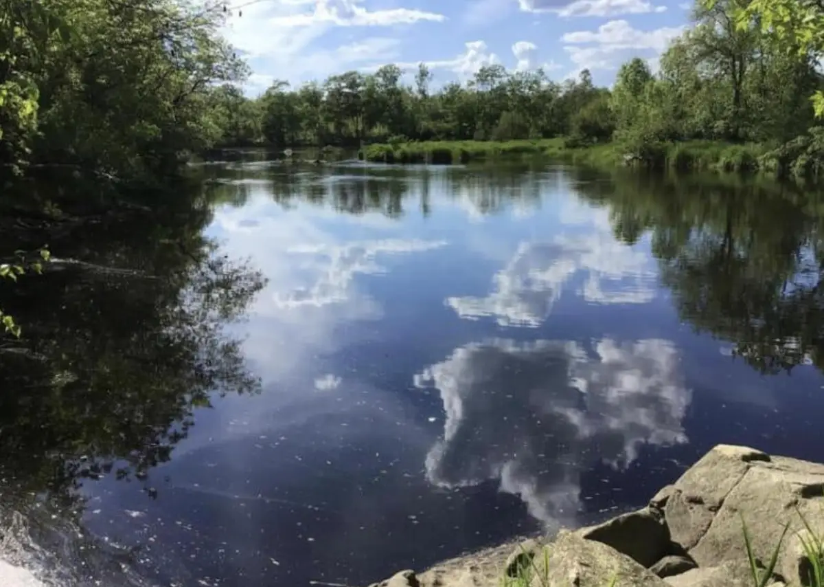 Lot 10 Us-1, Baring, ME 04694 - Image #1