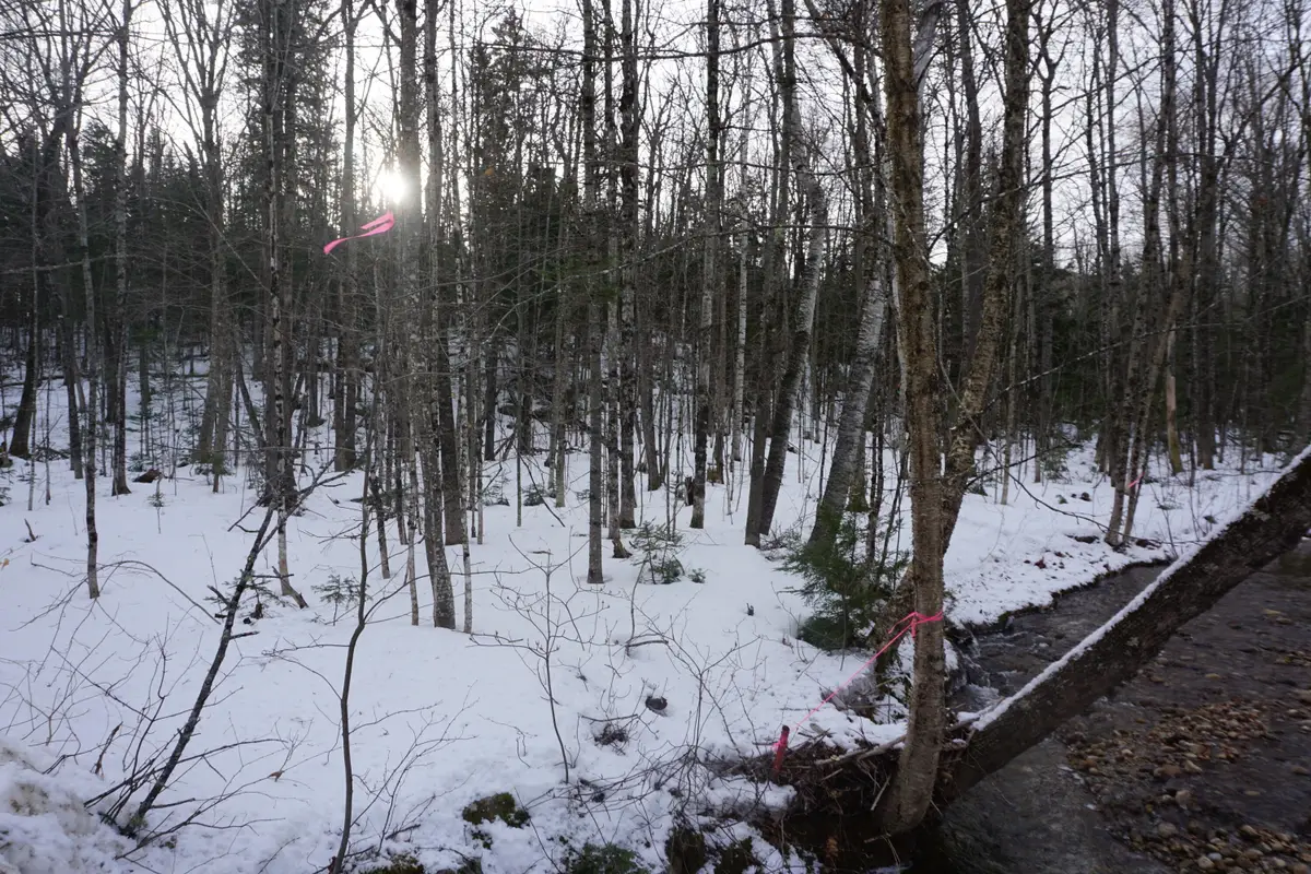 M13L18A-1 Redding Road, Woodstock, ME 04219 - Image #1