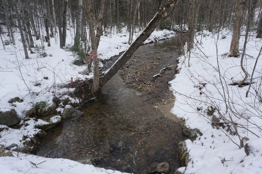 M13L18A-1 Redding Road, Woodstock, ME 04219 - Image #2