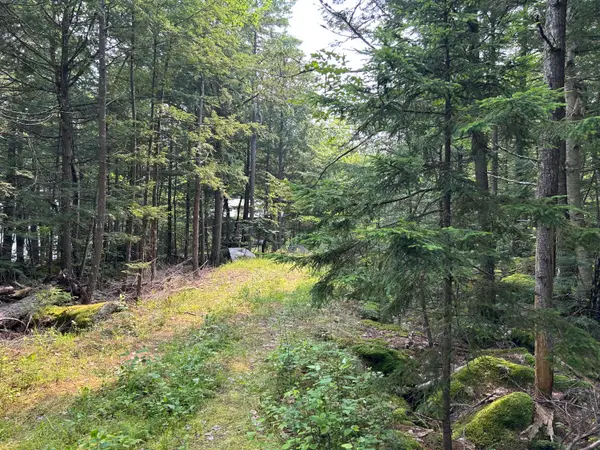 Lot 12-4 Mcnulty Lane, Rome, ME 04963
