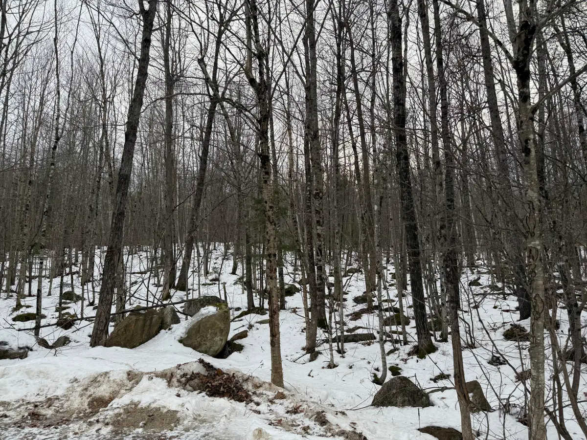 Lot A Station Road, Hebron, ME 04238 - Image #1