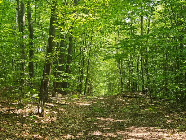 Lot 023-A Oak Hill Road, Temple, ME 04984