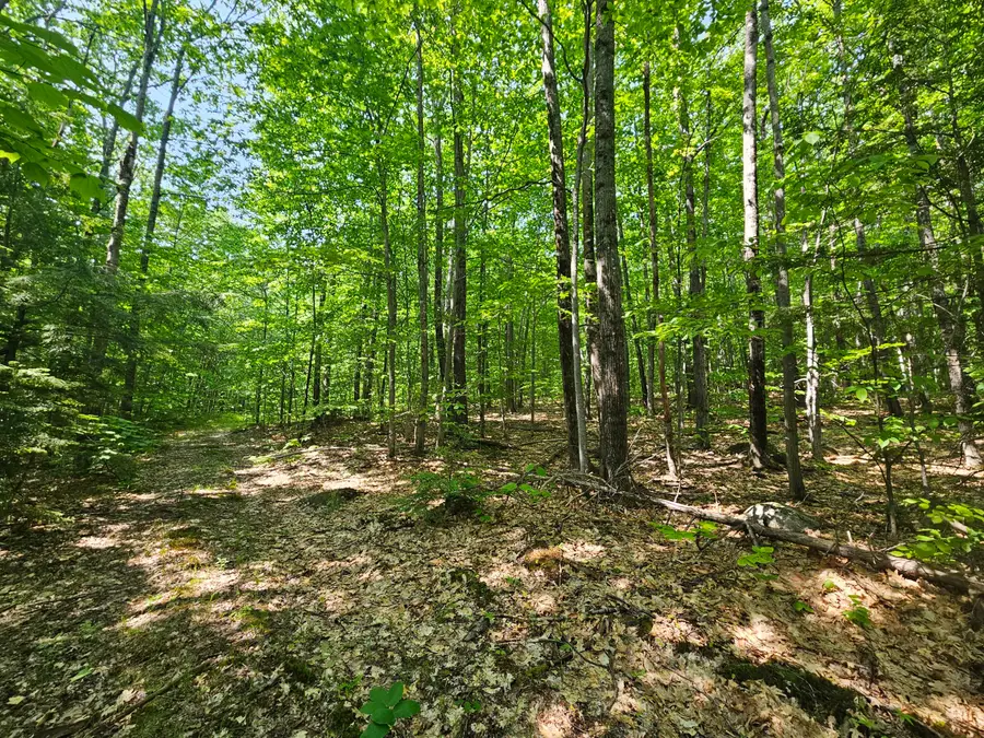 Lot 023-A Oak Hill Road, Temple, ME 04984 - Image #2