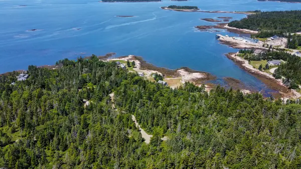 Lot 9-1 Black Duck Cove Road, Beals, ME 04611