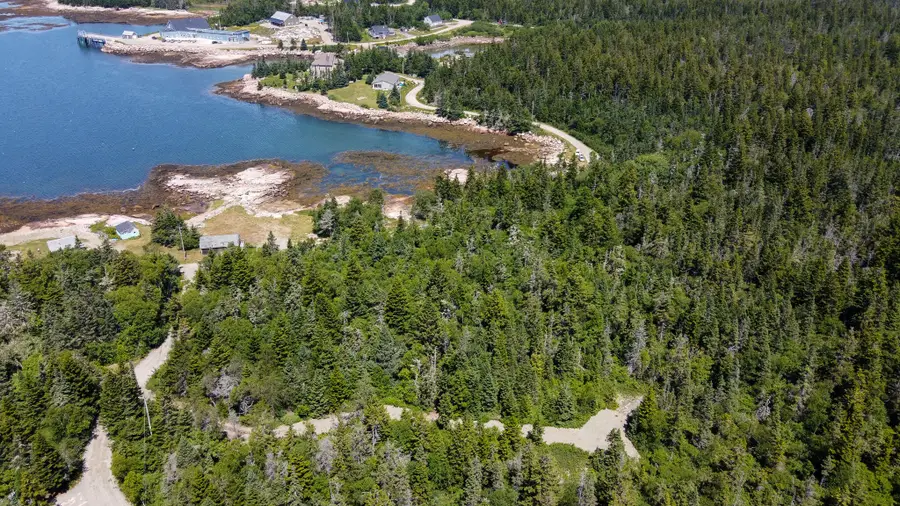Lot 9-1 Black Duck Cove Road, Beals, ME 04611 - Image #2