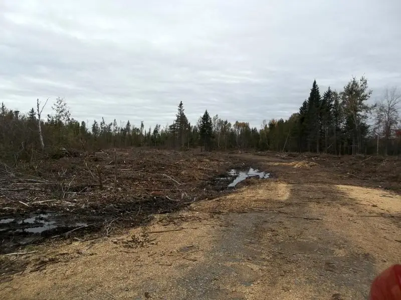 0 Houlton Road, Waite, ME 04492 - Image #1