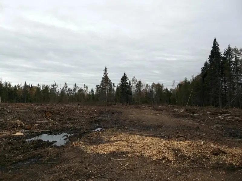 0 Houlton Road, Waite, ME 04492 - Image #2