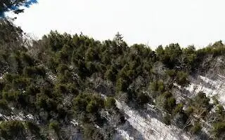 38-1 North Shore Of Center Pond, Sangerville, ME 04479 - Image #2