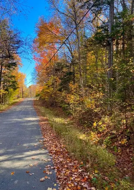 M16 L17,18,19 Edelheid Road, Sandy River Plt, ME 04970 - Image #1