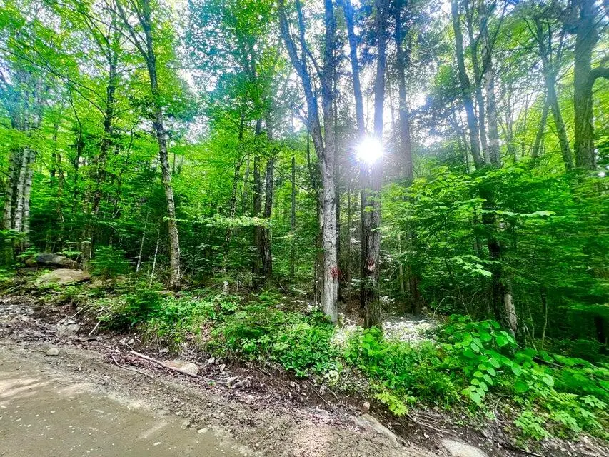 M16 L17,18,19 Edelheid Road, Sandy River Plt, ME 04970 - Image #2