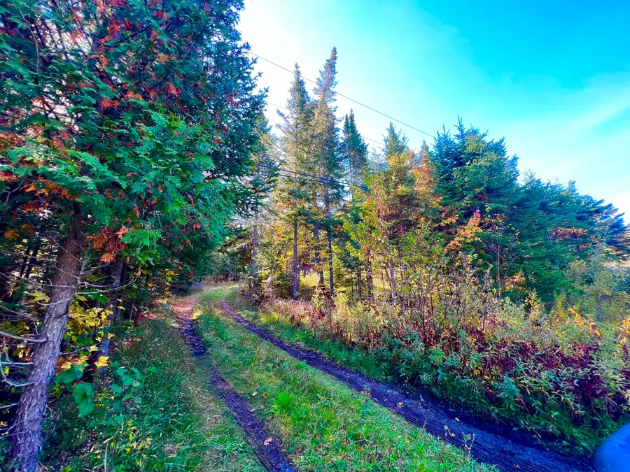 67 Saddleback Mountain Road, Dallas Plt, ME 04970 - Image #2
