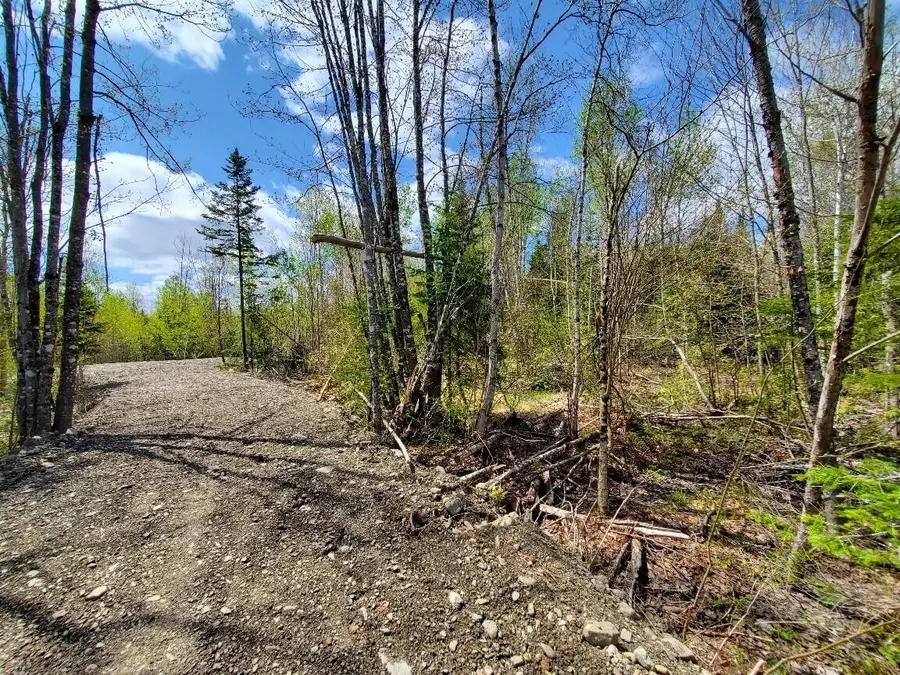 Lot#2 Cone Road, Amity, ME 04471 - Image #3