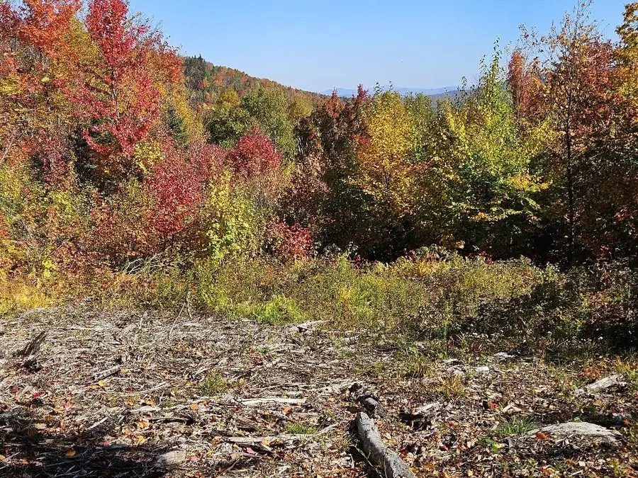 Lot#9 East Moose Alley Road, Temple, ME 04984 - Image #3