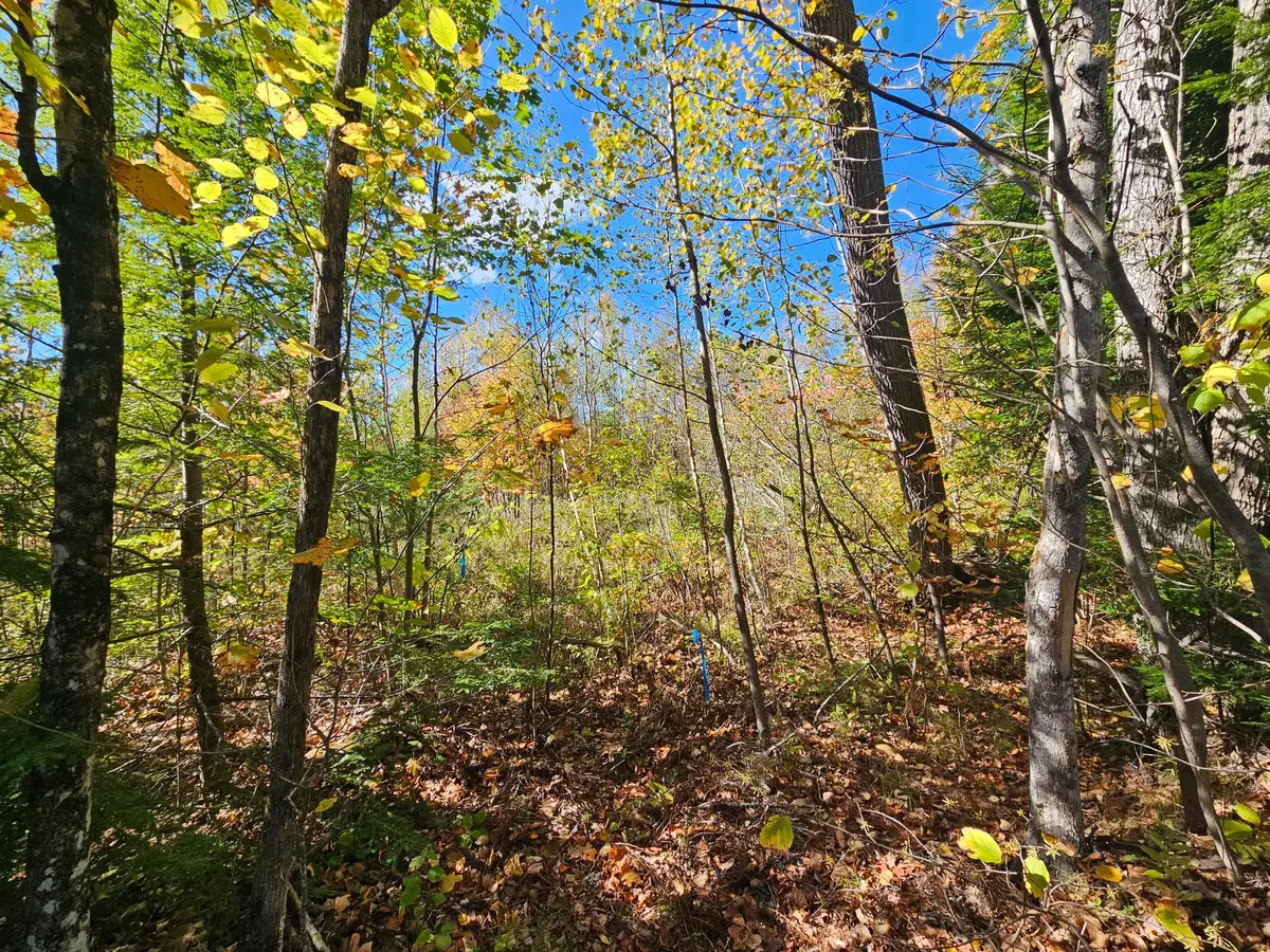 059-007 Soper's Mill Road, Auburn, ME 04210 - Image #1