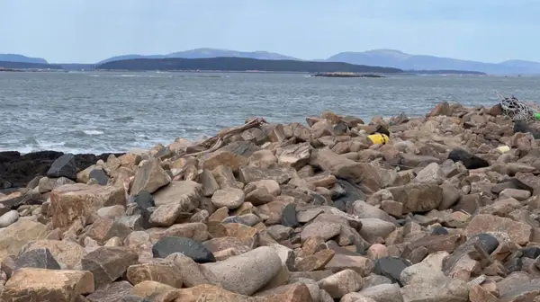 0 Butler Road, Frenchboro, ME 04635