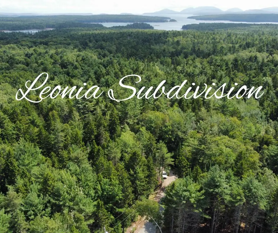 Lot #5 Leonia Road, Hancock, ME 04640 - Image #1