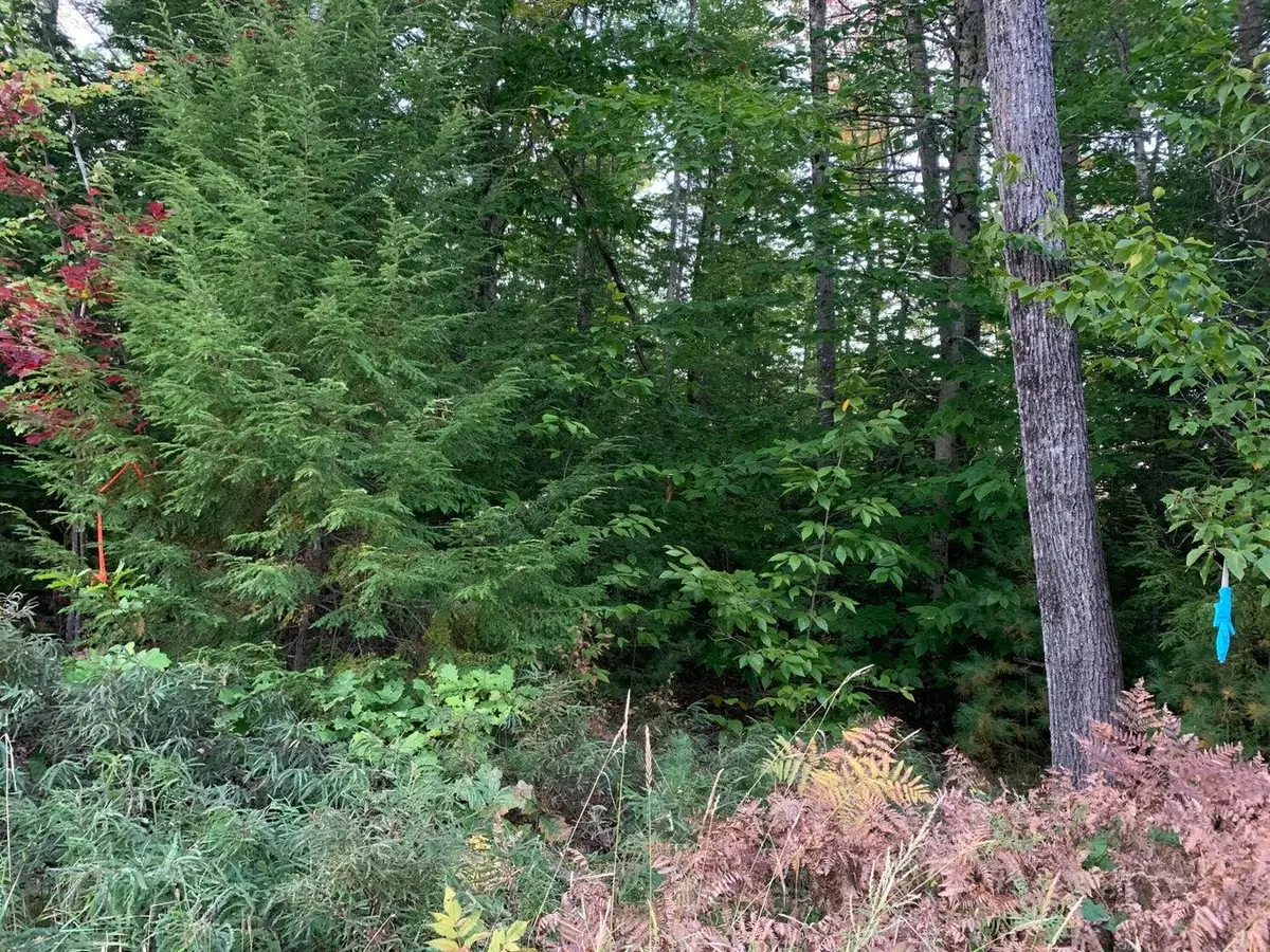 0 Chaplin Mills Road, Bridgton, ME 04009 - Image #1