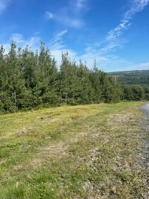 Lot 18 Cross Road, Madawaska, ME 04756 - Image #2