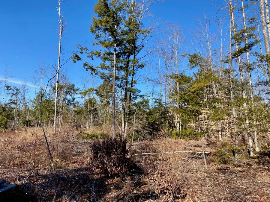 Lot 5 North Gorham Road, Gorham, ME 04038 - Image #3