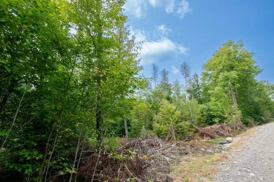 Lot2 Bear Brook Subdivision, Sebec, ME 04481 - Image #3