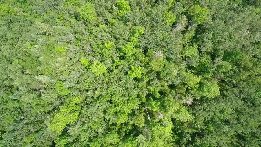 TBD Trafton Road, Parkman, ME 04443 - Image #2