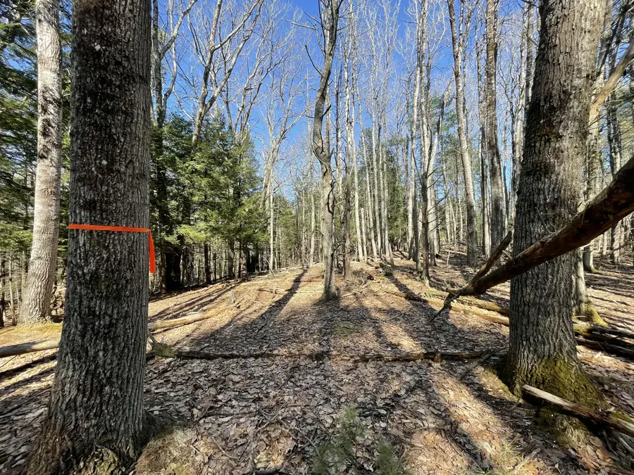 163A Highland Cliff Road, Windham, ME 04062 - Image #2