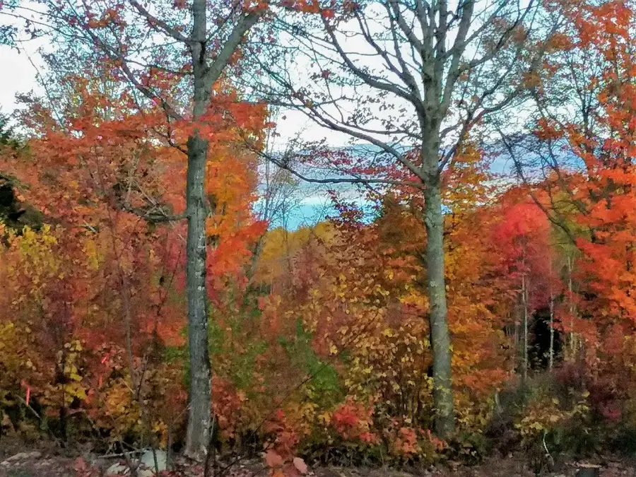 Lot 24-1 Rte 17, Rangeley Plt, ME 04970 - Image #2