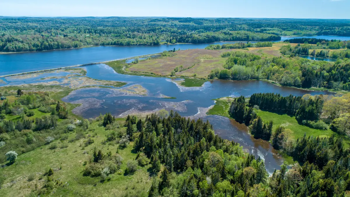 80 Holmes Way, East Machias, ME 04630 - Image #1