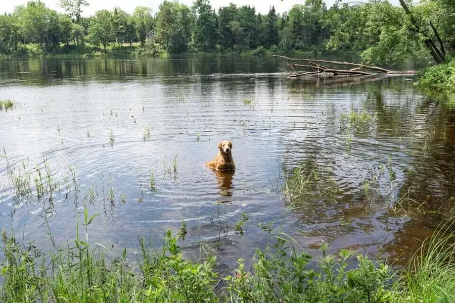 Map 16 Lot 3-2, 3-4, Mattawamkeag, ME 04459 - Image #2