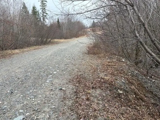 1482 Mattamiscontis Road, Mattamiscontis Township, ME 04457 - Image #3